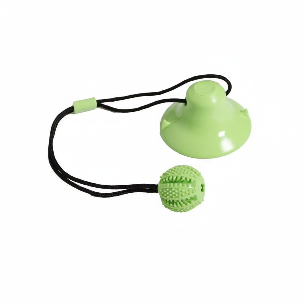 A light green pet grooming toy with a suction cup base, a textured ball attachment, and a black elastic cord, shown on a plain white background.